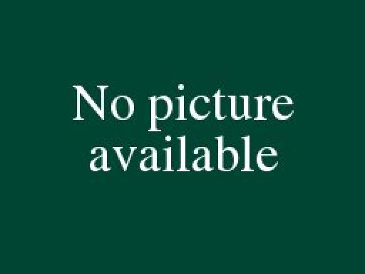 no picture